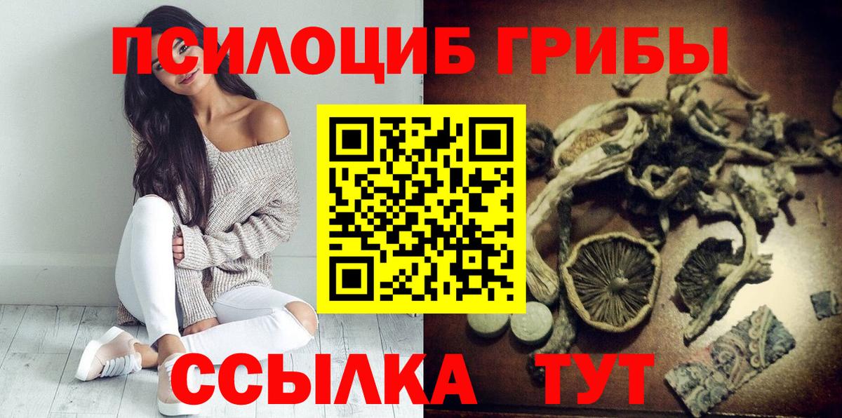 Псилоцибиновые грибы Psilocybine cubensis Елизово